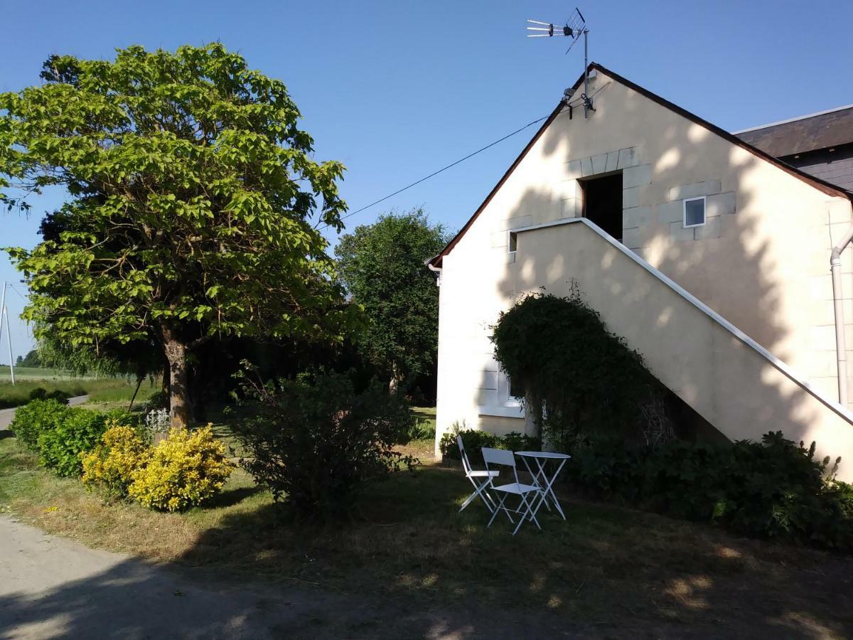 Les Hautes Mougonnieres Neuil Kültér fotó